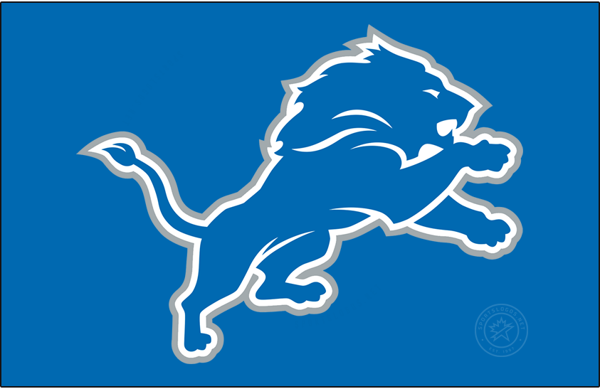 DETROIT LIONS